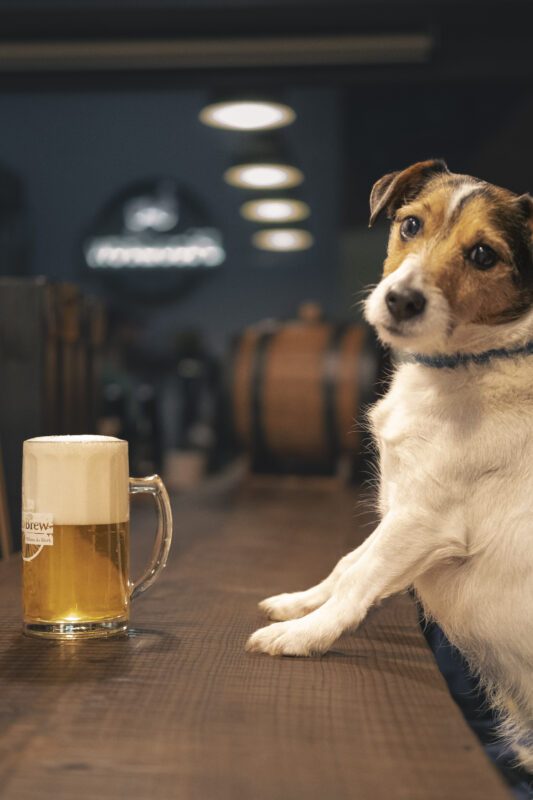 PicoBrew